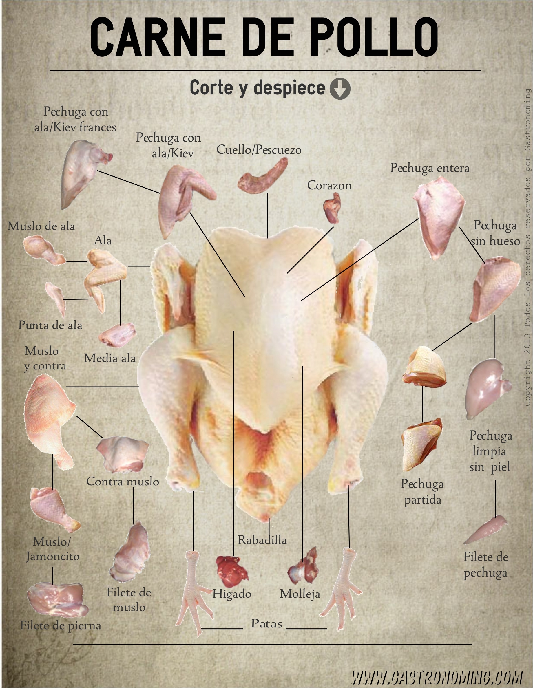 Carne de pollo, corte y despiece - Gastronoming – Gastronoming