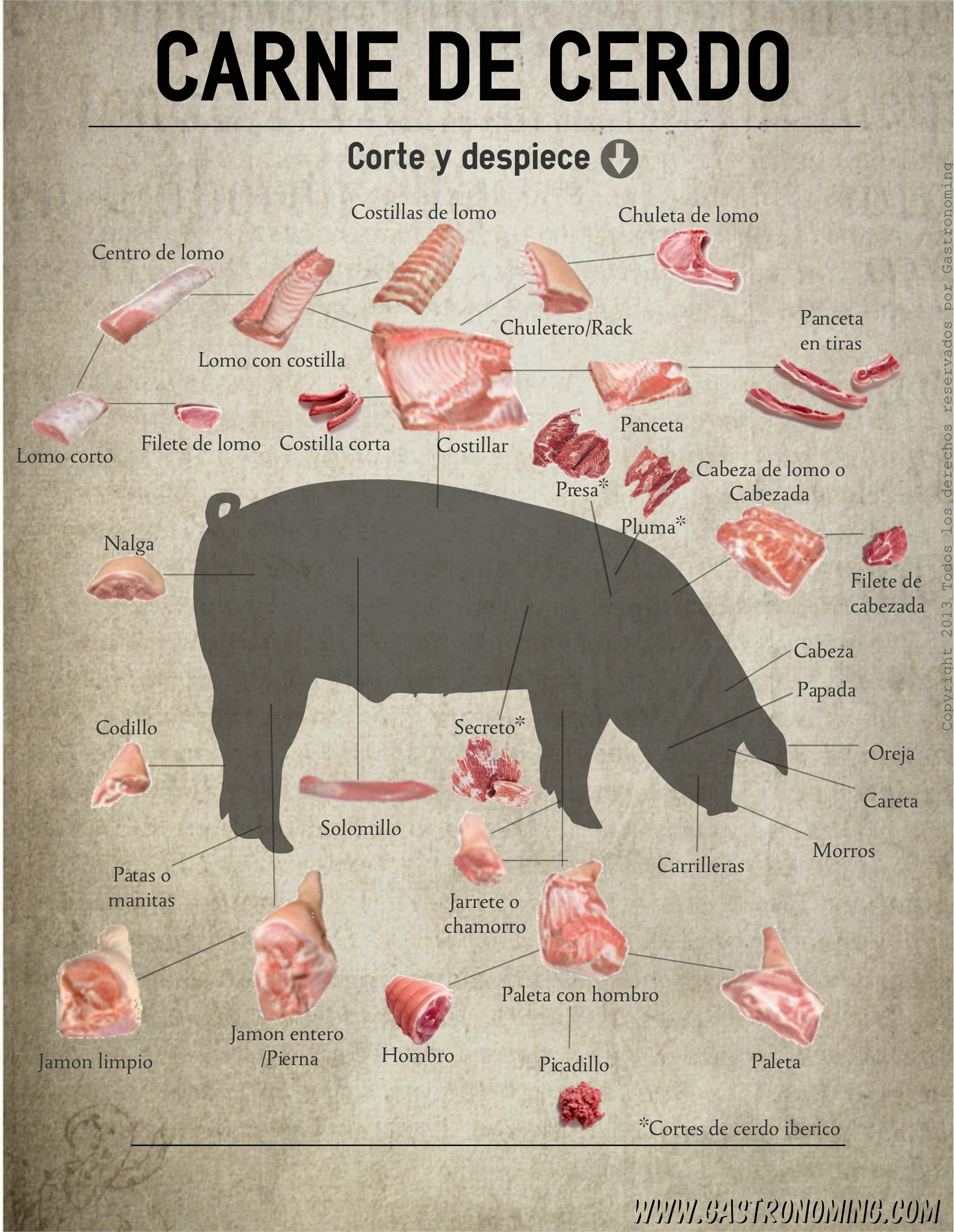 Cuales Son Los Tipos De Cortes De Carne - Noticias De Carne