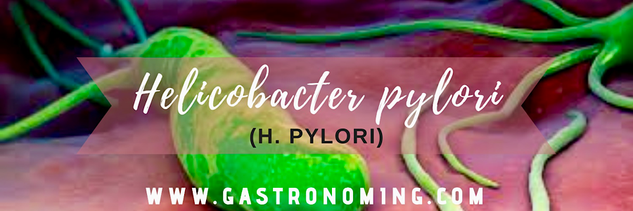 Helicobacter pylori (H. pylori) el sigiloso enemigo que pasa desapercibido